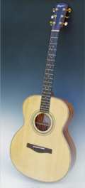 Folk guitar Dupont - Concert Model CFN30