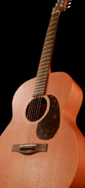 Folk guitar Dupont - Concert Model CFN90