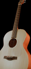 Folk guitar Dupont - Concert Model CFN95